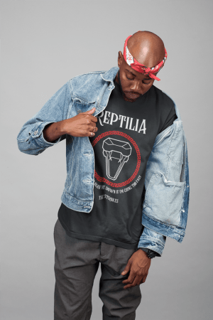 Camiseta Strokes Reptilia